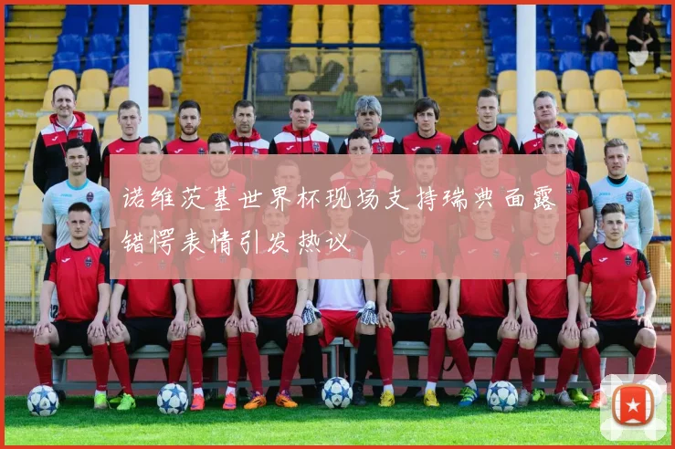 诺维茨基世界杯现场支持瑞典面露错愕表情引发热议