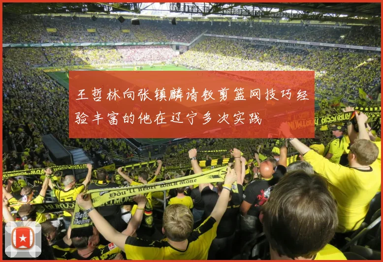 王哲林向张镇麟请教剪篮网技巧经验丰富的他在辽宁多次实践