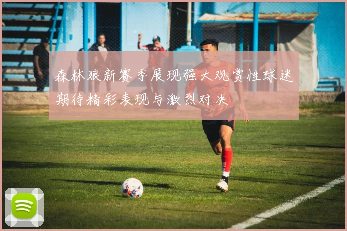 森林狼新赛季展现强大观赏性球迷期待精彩表现与激烈对决